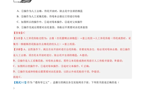 专题09基因的传递规律（9大题型）（解析版）_2025年新高考资料_一轮复习_备战2025年高考生物一轮复习题型全覆盖（新高考通用）