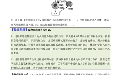 专题08生命活动调节（原卷版）_新高考复习资料_2024年新高考复习资料_二轮复习资料_2024年高考生物二轮热点题型归纳与变式演练（新高考通用）