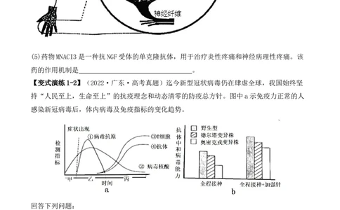 专题08生命活动调节（原卷版）_新高考复习资料_2024年新高考复习资料_二轮复习资料_2024年高考生物二轮热点题型归纳与变式演练（新高考通用）