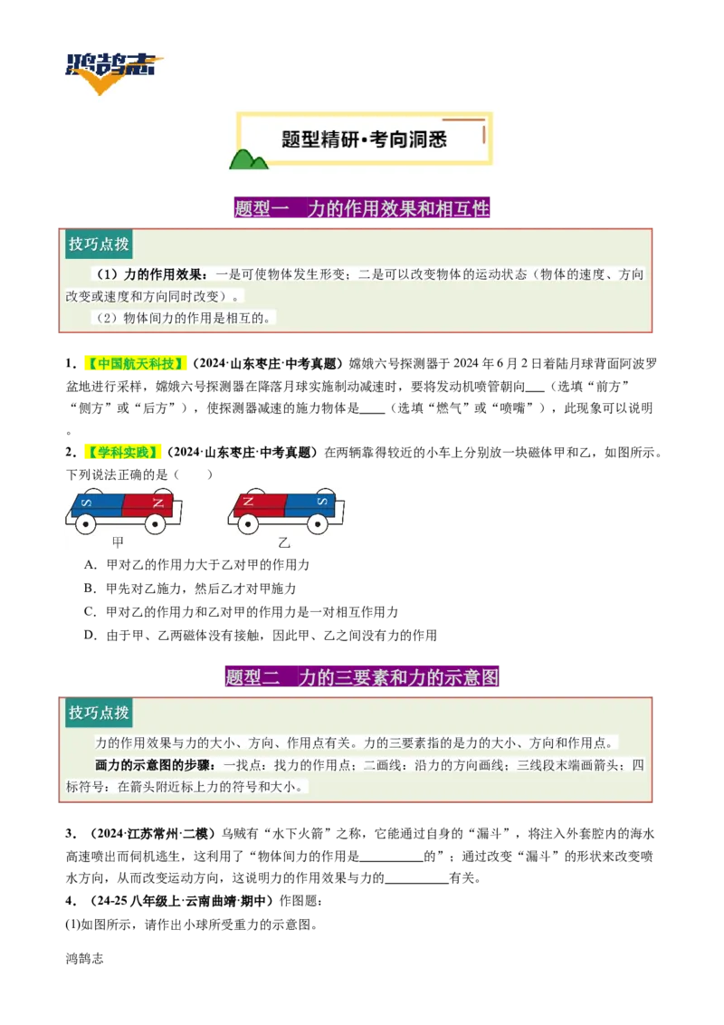 专题08力（讲义）（原卷版）_8、物理总复习_《2025年中考复习讲义》物理