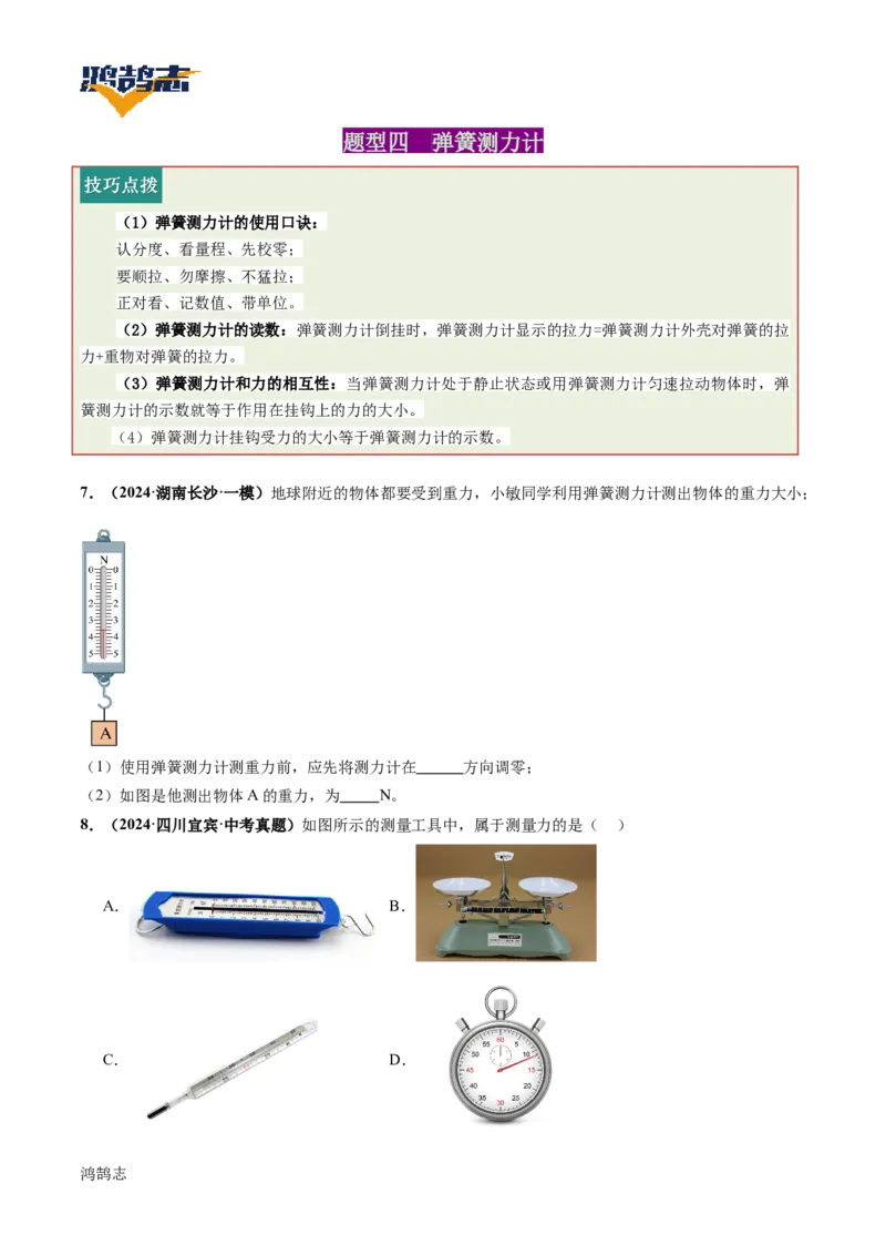 专题08力（讲义）（原卷版）_8、物理总复习_《2025年中考复习讲义》物理