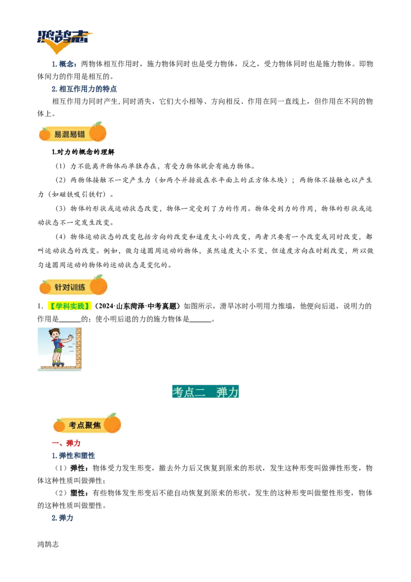 专题08力（讲义）（原卷版）_8、物理总复习_《2025年中考复习讲义》物理