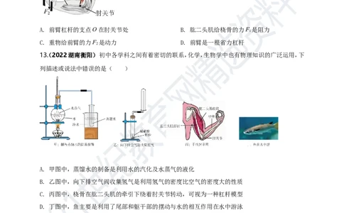 专题48跨学科（含实践）类中考热点问题（原卷版）_8、物理总复习_8.中考物理总复习_2023年中考复习资料_专项复习_2023年用小微专题精准练助力中考物理四点问题大突破