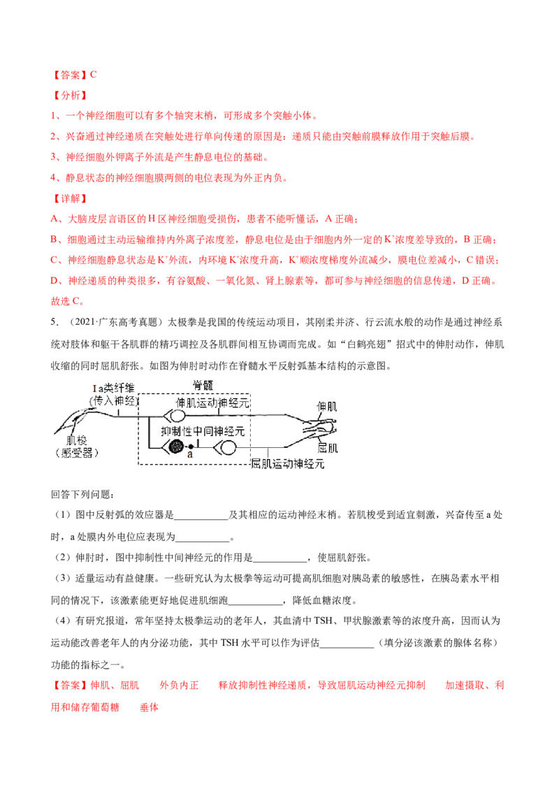 专题13神经调节-2021年高考真题和模拟题生物分项汇编（解析版）_新高考复习资料_2022年新高考复习资料_2021年高考真题和模拟题生物分项汇编7.30更新