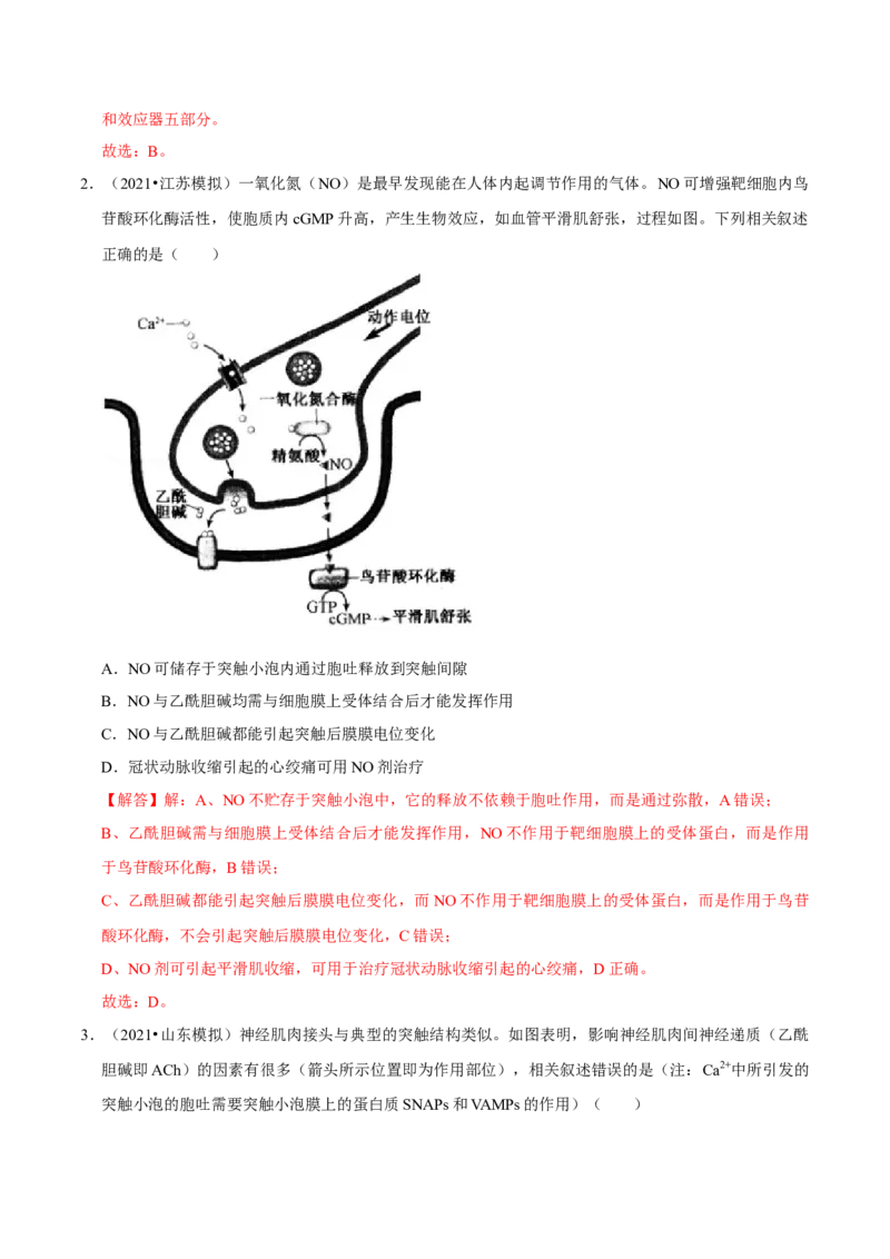 专题13神经调节-2021年高考真题和模拟题生物分项汇编（解析版）_新高考复习资料_2022年新高考复习资料_2021年高考真题和模拟题生物分项汇编7.30更新