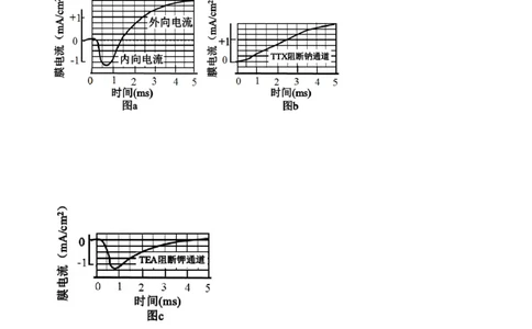 专题13神经调节-2021年高考真题和模拟题生物分项汇编（解析版）_新高考复习资料_2022年新高考复习资料_2021年高考真题和模拟题生物分项汇编7.30更新