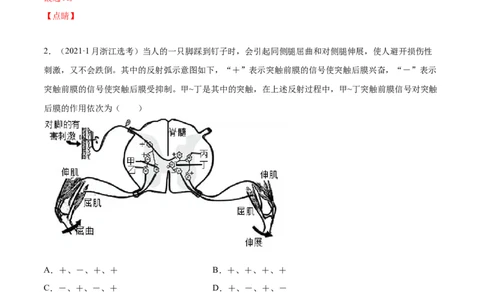 专题13神经调节-2021年高考真题和模拟题生物分项汇编（解析版）_新高考复习资料_2022年新高考复习资料_2021年高考真题和模拟题生物分项汇编7.30更新