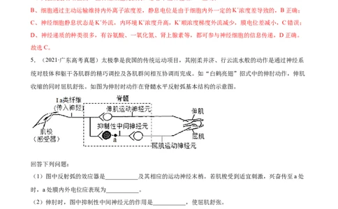 专题13神经调节-2021年高考真题和模拟题生物分项汇编（解析版）_新高考复习资料_2022年新高考复习资料_2021年高考真题和模拟题生物分项汇编7.30更新