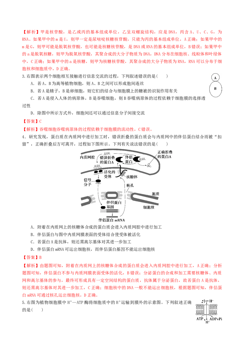 黄金卷06（解析版）-赢在高考&middot;黄金8卷备战2024年高考生物模拟卷（湖北专用）_2024年新高考资料_4.2024高考模拟预测试卷