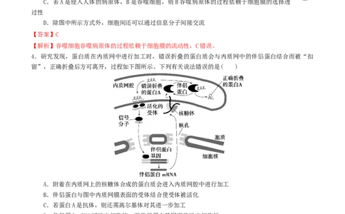 黄金卷06（解析版）-赢在高考&middot;黄金8卷备战2024年高考生物模拟卷（湖北专用）_2024年新高考资料_4.2024高考模拟预测试卷