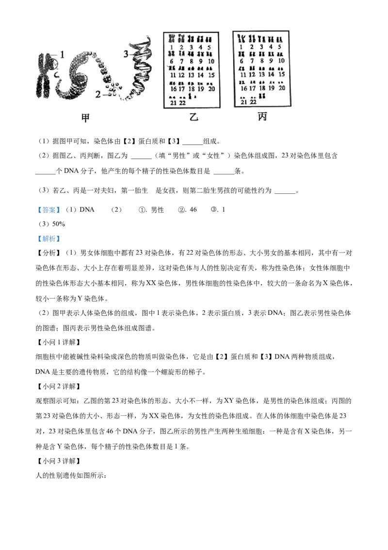 01八年级下学期期中生物试题（解析版）_初中全科电子版试卷练习试题_生物_生物8下练习_人教生物8年级下期中试卷10份