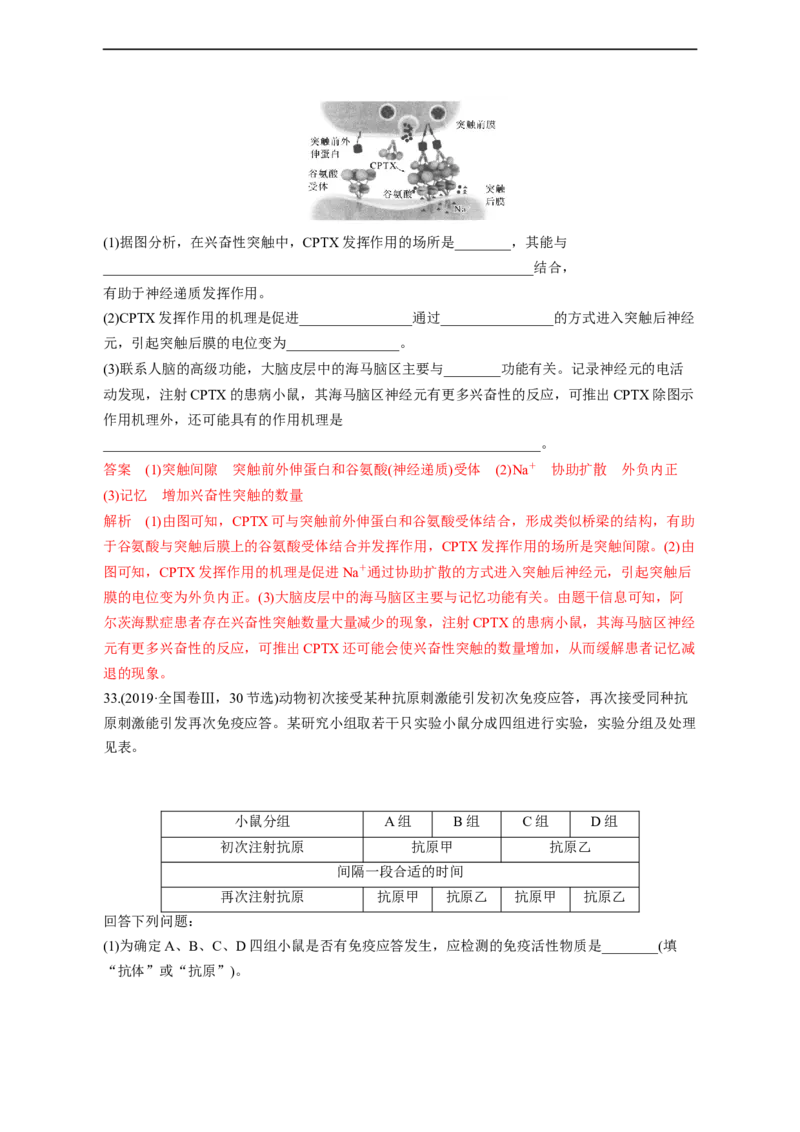 专题11动物生命活动调节(测试卷）-2023年高考生物二轮复习讲练测（全国通用）（解析版）_通用版（老高考）复习资料_2023年复习资料_二轮复习