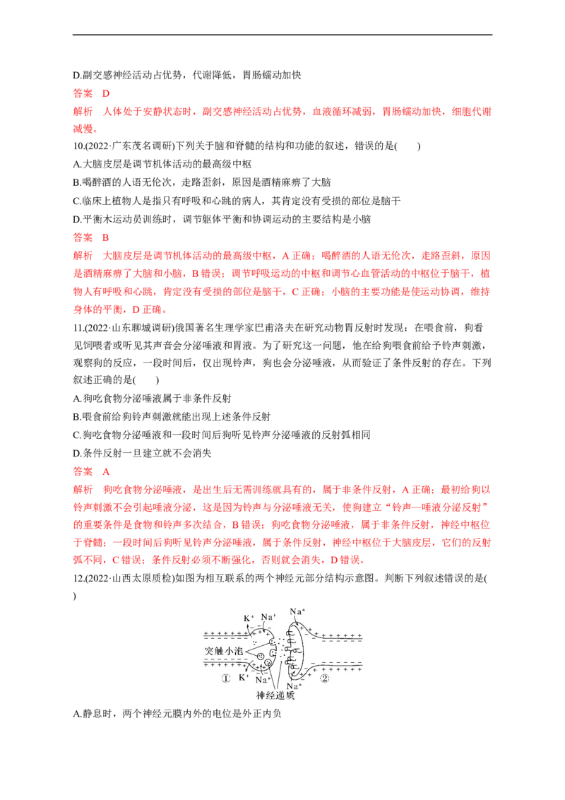 专题11动物生命活动调节(测试卷）-2023年高考生物二轮复习讲练测（全国通用）（解析版）_通用版（老高考）复习资料_2023年复习资料_二轮复习