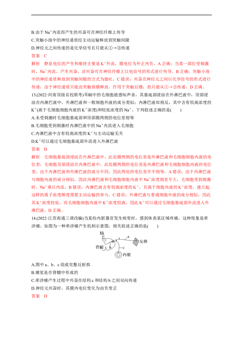 专题11动物生命活动调节(测试卷）-2023年高考生物二轮复习讲练测（全国通用）（解析版）_通用版（老高考）复习资料_2023年复习资料_二轮复习