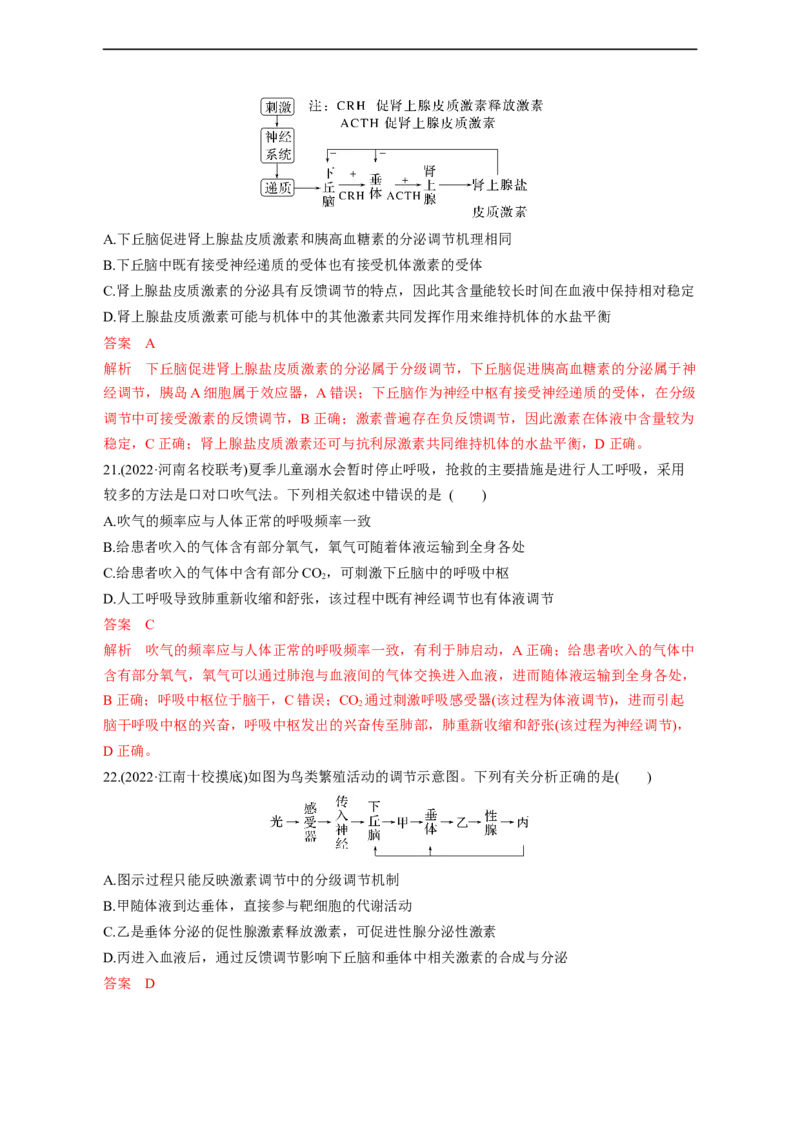 专题11动物生命活动调节(测试卷）-2023年高考生物二轮复习讲练测（全国通用）（解析版）_通用版（老高考）复习资料_2023年复习资料_二轮复习
