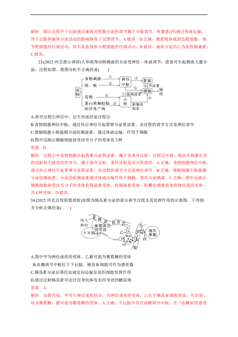 专题11动物生命活动调节(测试卷）-2023年高考生物二轮复习讲练测（全国通用）（解析版）_通用版（老高考）复习资料_2023年复习资料_二轮复习