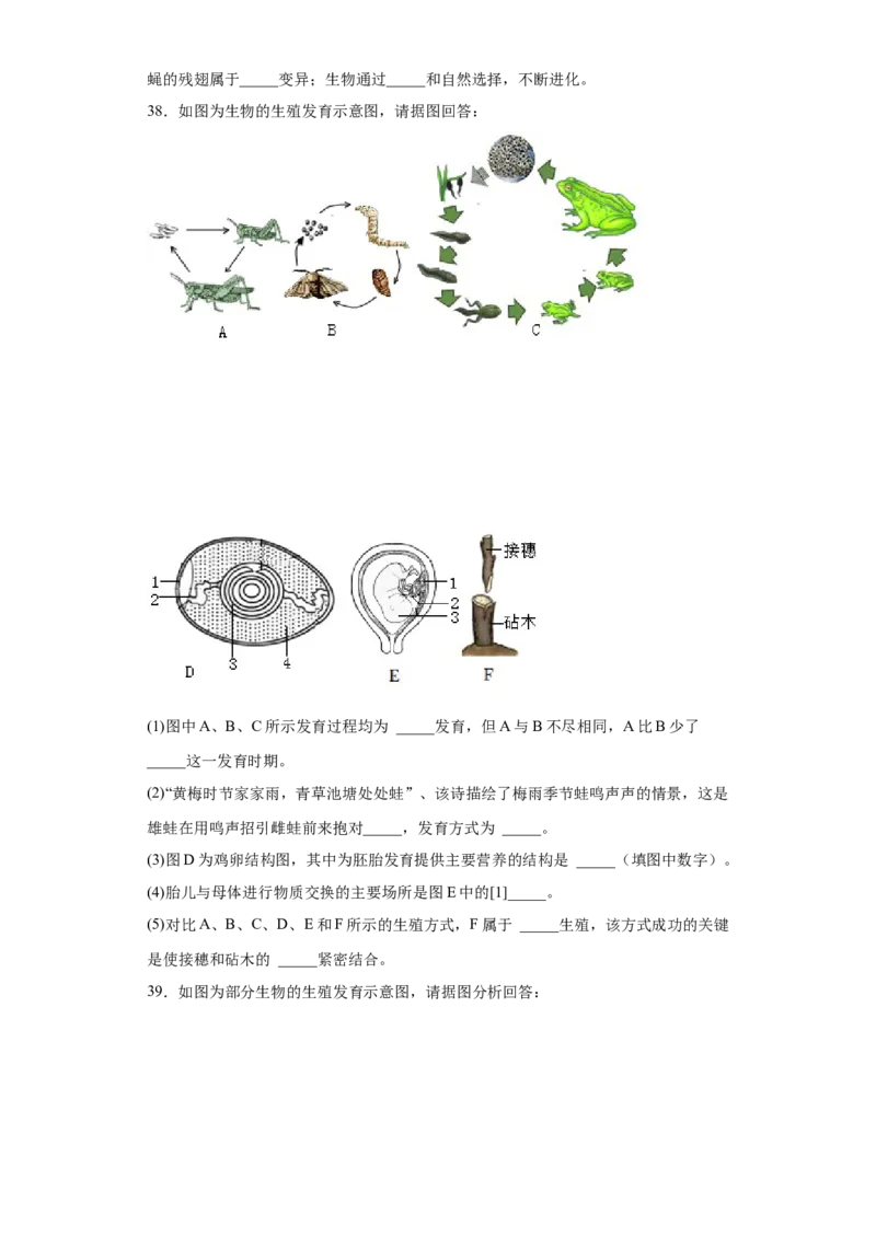 01-八年级生物下学期期末综合测试卷（人教版）（原卷版）_new_初中全科电子版试卷练习试题_生物_生物8下练习_人教生物8年级下期末试卷12份