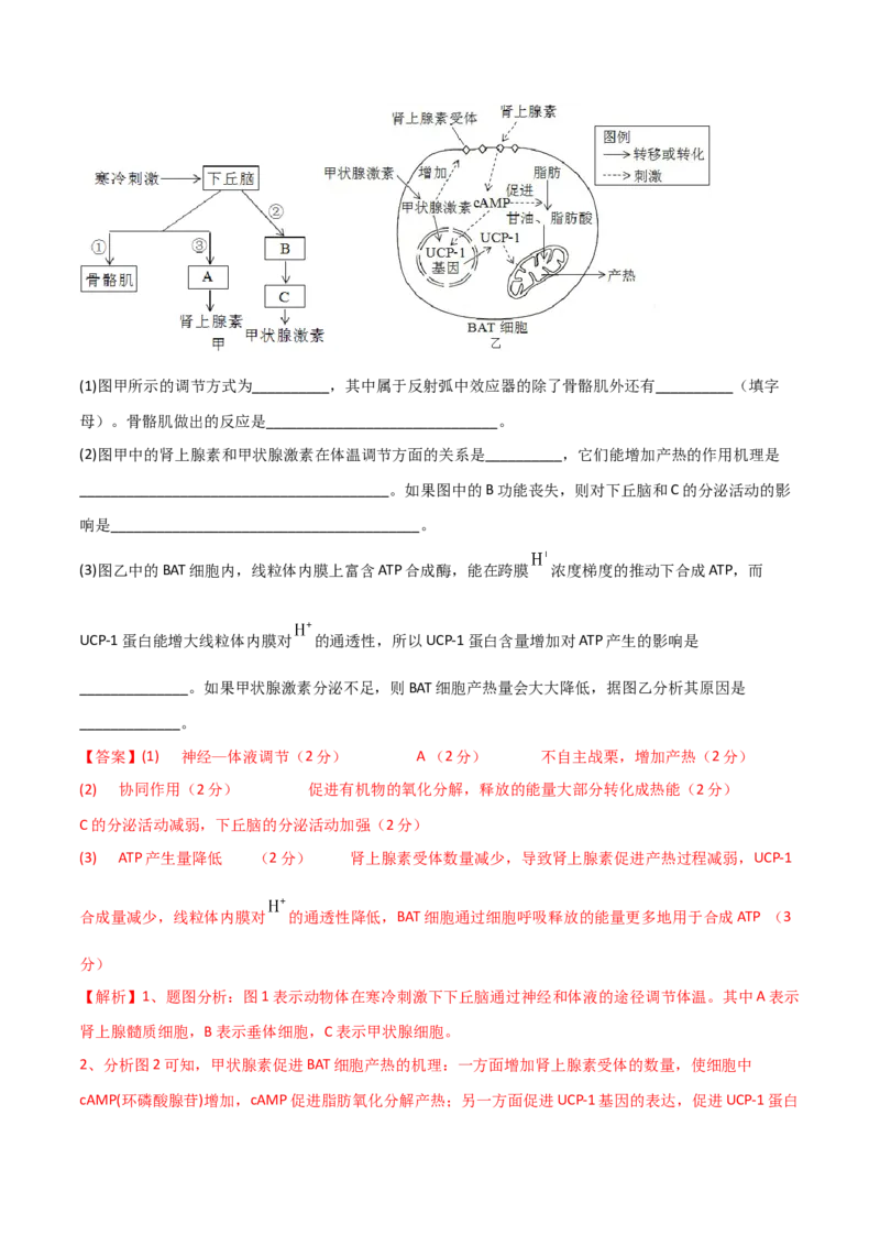 黄金卷04（解析版）-赢在高考&middot;黄金8卷备战2024年高考生物模拟卷（湖北专用）_2024年新高考资料_4.2024高考模拟预测试卷