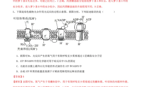 黄金卷04（解析版）-赢在高考&middot;黄金8卷备战2024年高考生物模拟卷（湖北专用）_2024年新高考资料_4.2024高考模拟预测试卷