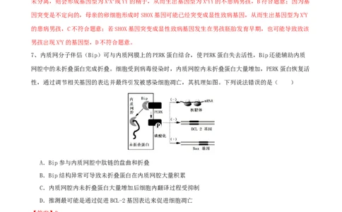 黄金卷04（解析版）-赢在高考&middot;黄金8卷备战2024年高考生物模拟卷（湖北专用）_2024年新高考资料_4.2024高考模拟预测试卷