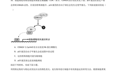 黄金卷07（考试版）-赢在高考&middot;黄金8卷备战2024年高考生物模拟卷（浙江专用）_2024年新高考资料_4.2024高考模拟预测试卷