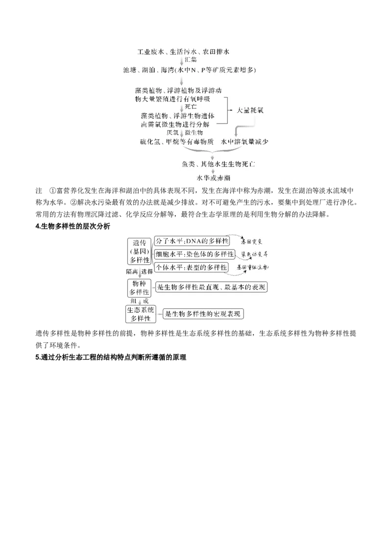 专题10生态系统及人与环境（原卷版）_新高考复习资料_2024年新高考复习资料_❤专项复习资料_2024年高考生物热点&middot;重点&middot;难点专练（新高考专用）