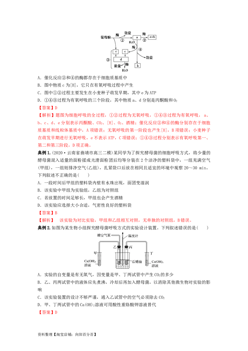 专题08细胞呼吸（串讲）（解析版）_新高考复习资料_2024年新高考复习资料_一轮复习资料_完备战2024年高考生物一轮复习串讲精练（新高考专用）_串讲_解析版