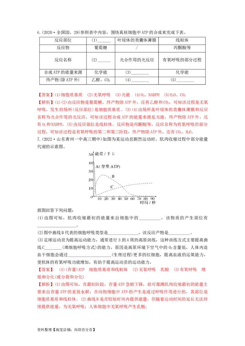 专题08细胞呼吸（串讲）（解析版）_新高考复习资料_2024年新高考复习资料_一轮复习资料_完备战2024年高考生物一轮复习串讲精练（新高考专用）_串讲_解析版
