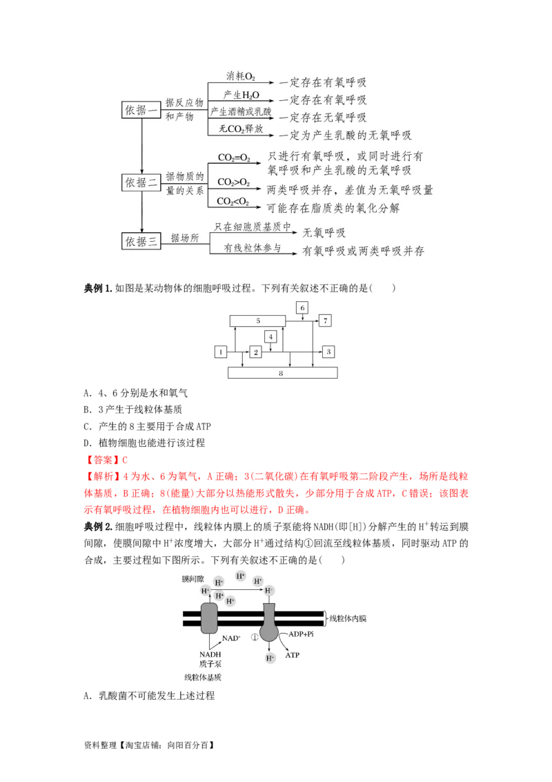 专题08细胞呼吸（串讲）（解析版）_新高考复习资料_2024年新高考复习资料_一轮复习资料_完备战2024年高考生物一轮复习串讲精练（新高考专用）_串讲_解析版