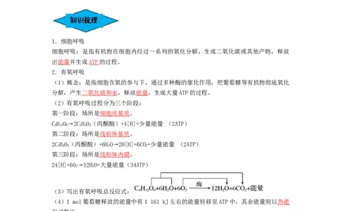 专题08细胞呼吸（串讲）（解析版）_新高考复习资料_2024年新高考复习资料_一轮复习资料_完备战2024年高考生物一轮复习串讲精练（新高考专用）_串讲_解析版