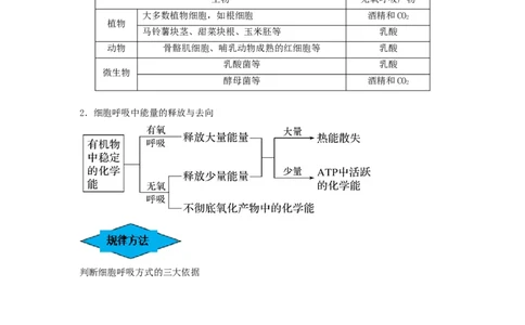 专题08细胞呼吸（串讲）（解析版）_新高考复习资料_2024年新高考复习资料_一轮复习资料_完备战2024年高考生物一轮复习串讲精练（新高考专用）_串讲_解析版