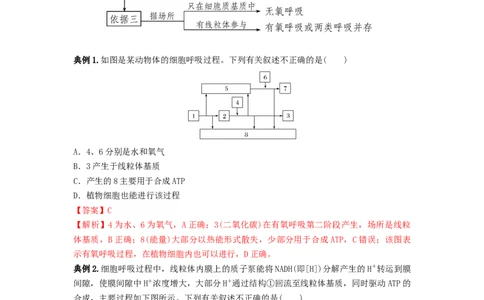 专题08细胞呼吸（串讲）（解析版）_新高考复习资料_2024年新高考复习资料_一轮复习资料_完备战2024年高考生物一轮复习串讲精练（新高考专用）_串讲_解析版