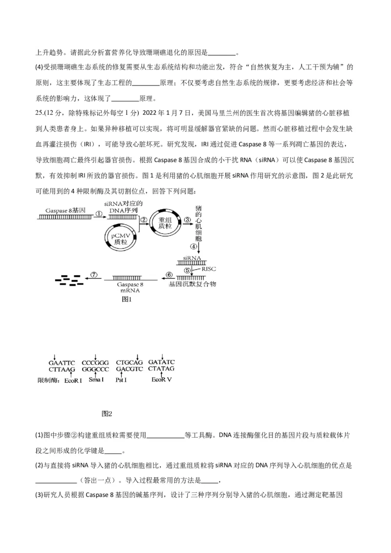 黄金卷03（考试版）-赢在高考&middot;黄金8卷备战2024年高考生物模拟卷（山东专用）_2024年新高考资料_4.2024高考模拟预测试卷