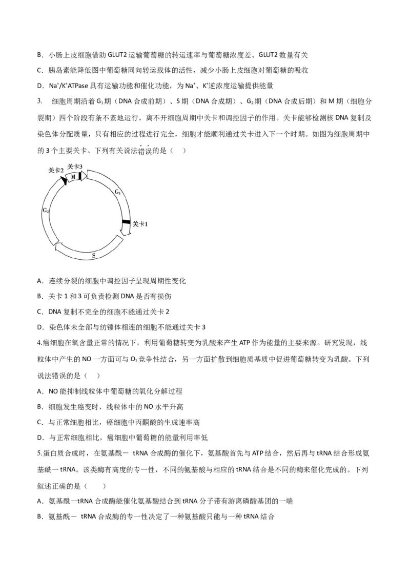 黄金卷03（考试版）-赢在高考&middot;黄金8卷备战2024年高考生物模拟卷（山东专用）_2024年新高考资料_4.2024高考模拟预测试卷