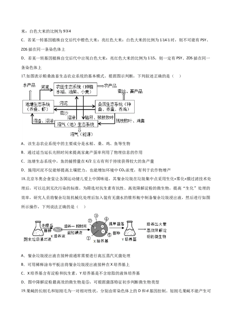 黄金卷03（考试版）-赢在高考&middot;黄金8卷备战2024年高考生物模拟卷（山东专用）_2024年新高考资料_4.2024高考模拟预测试卷