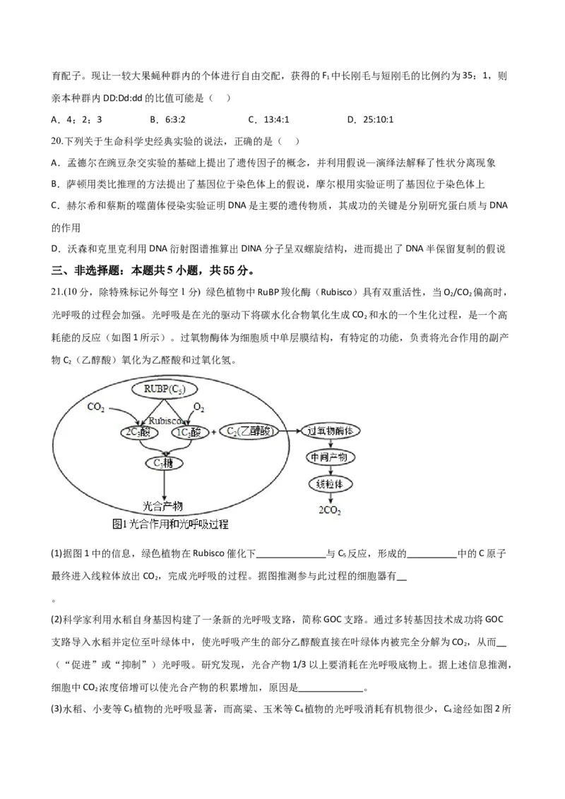 黄金卷03（考试版）-赢在高考&middot;黄金8卷备战2024年高考生物模拟卷（山东专用）_2024年新高考资料_4.2024高考模拟预测试卷