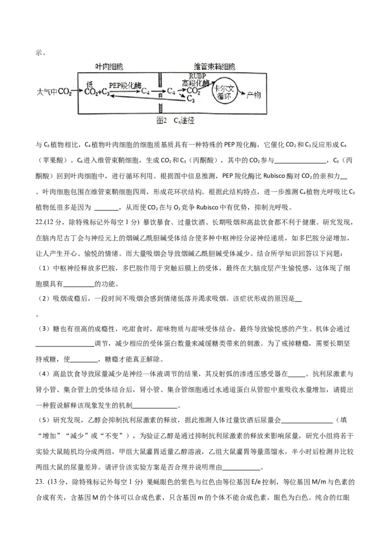 黄金卷03（考试版）-赢在高考&middot;黄金8卷备战2024年高考生物模拟卷（山东专用）_2024年新高考资料_4.2024高考模拟预测试卷