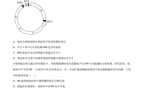 黄金卷03（考试版）-赢在高考&middot;黄金8卷备战2024年高考生物模拟卷（山东专用）_2024年新高考资料_4.2024高考模拟预测试卷