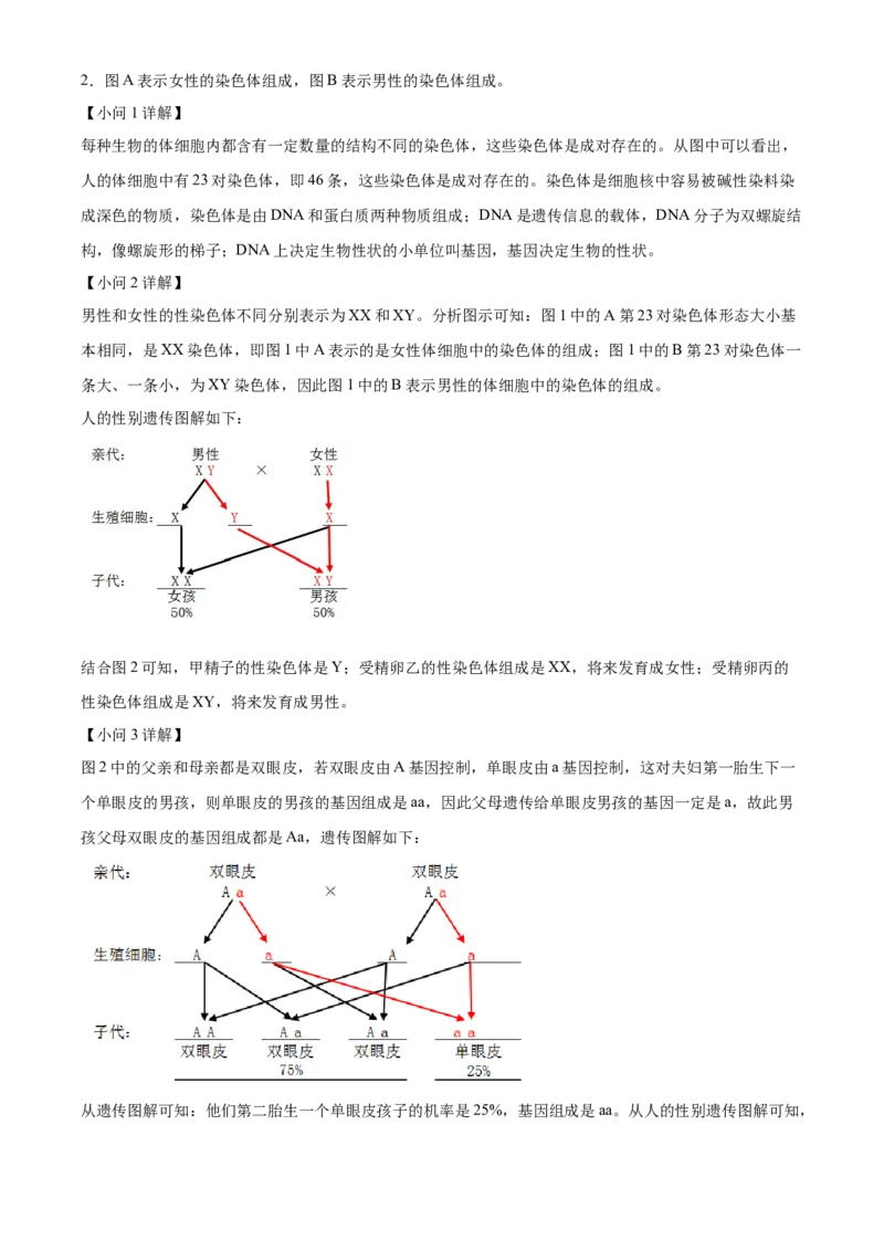 02八年级下学期期末生物试题（解析版）_初中全科电子版试卷练习试题_生物_生物8下练习_人教生物8年级下期末试卷12份