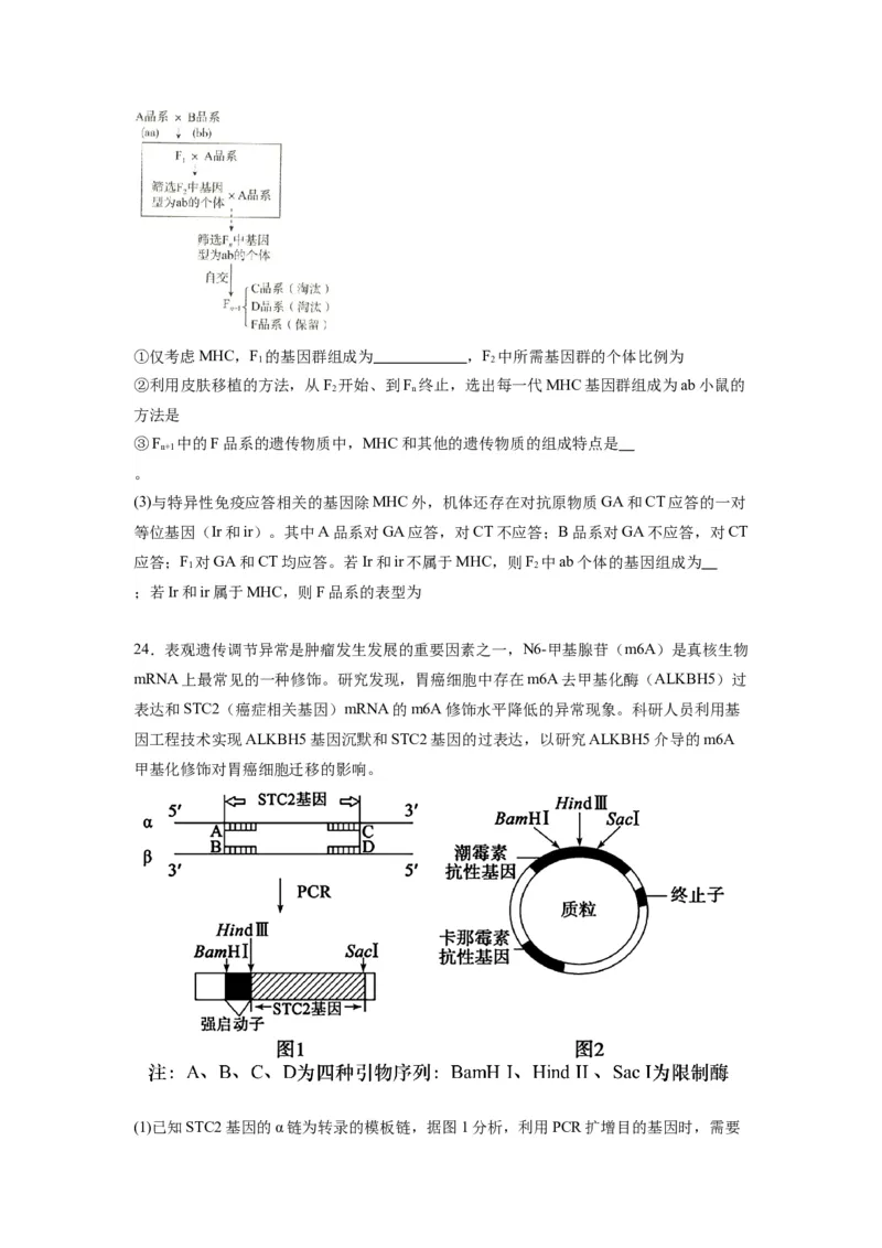 黄金卷07（考试版）-赢在高考&middot;黄金8卷备战2024年高考生物模拟卷（江苏专用）_2024年新高考资料_4.2024高考模拟预测试卷