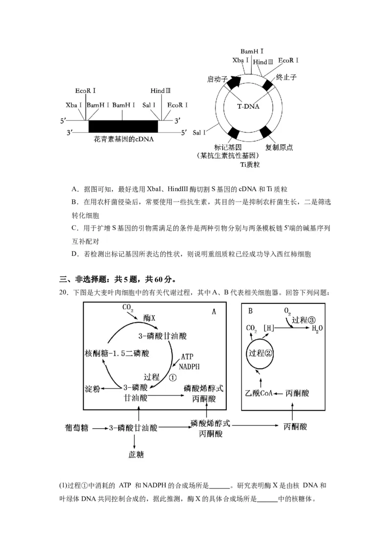 黄金卷07（考试版）-赢在高考&middot;黄金8卷备战2024年高考生物模拟卷（江苏专用）_2024年新高考资料_4.2024高考模拟预测试卷