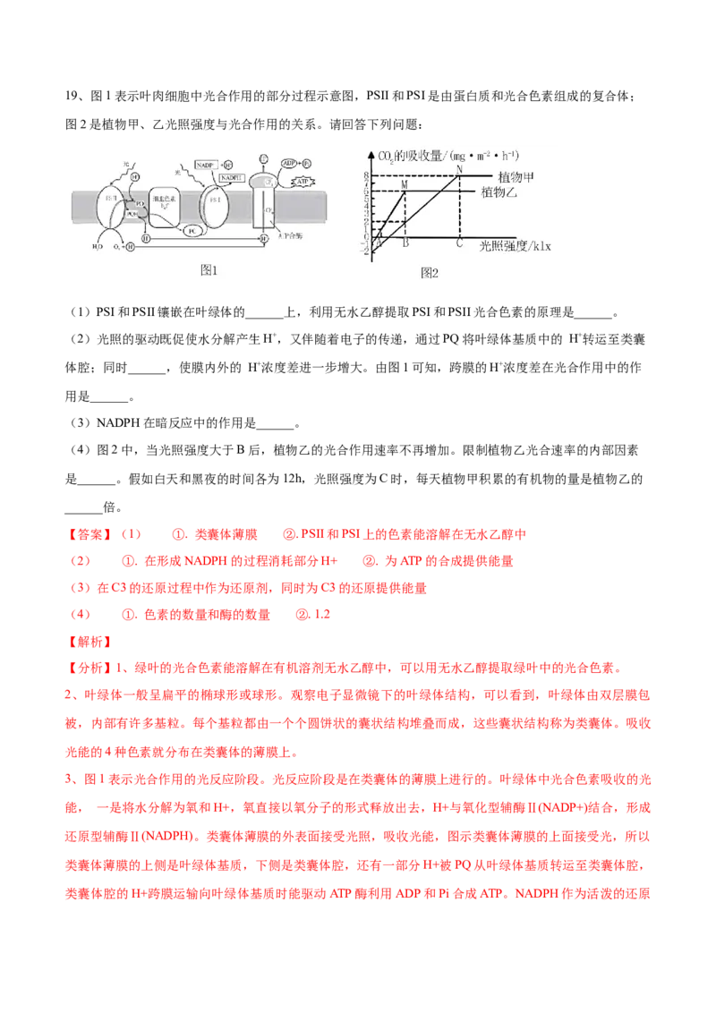 黄金卷07（解析版）-赢在高考&middot;黄金8卷备战2024年高考生物模拟卷（河北专用）_2024年新高考资料_4.2024高考模拟预测试卷