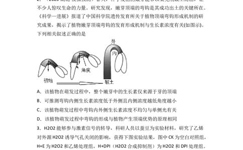 专题12植物的激素调节（原卷版）_新高考复习资料_2024年新高考复习资料_一轮复习资料_完备战2024年高考生物一轮复习重难点突破讲解与训练（新教材）_专题12植物的激素调节