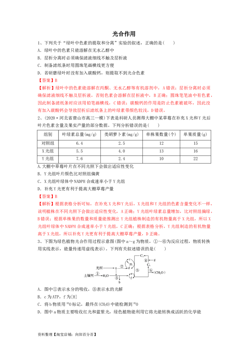 专题09光合作用（精练）（解析版）_新高考复习资料_2024年新高考复习资料_一轮复习资料_完备战2024年高考生物一轮复习串讲精练（新高考专用）_精练_解析版