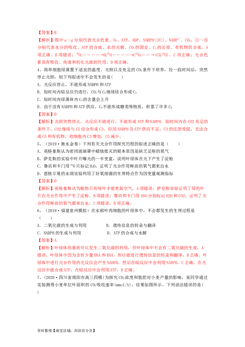 专题09光合作用（精练）（解析版）_新高考复习资料_2024年新高考复习资料_一轮复习资料_完备战2024年高考生物一轮复习串讲精练（新高考专用）_精练_解析版