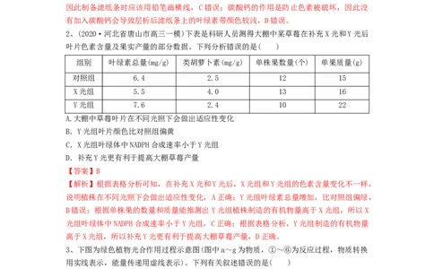 专题09光合作用（精练）（解析版）_新高考复习资料_2024年新高考复习资料_一轮复习资料_完备战2024年高考生物一轮复习串讲精练（新高考专用）_精练_解析版