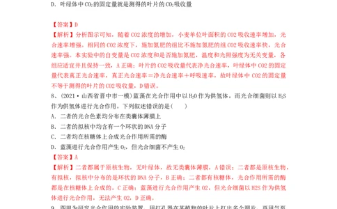 专题09光合作用（精练）（解析版）_新高考复习资料_2024年新高考复习资料_一轮复习资料_完备战2024年高考生物一轮复习串讲精练（新高考专用）_精练_解析版