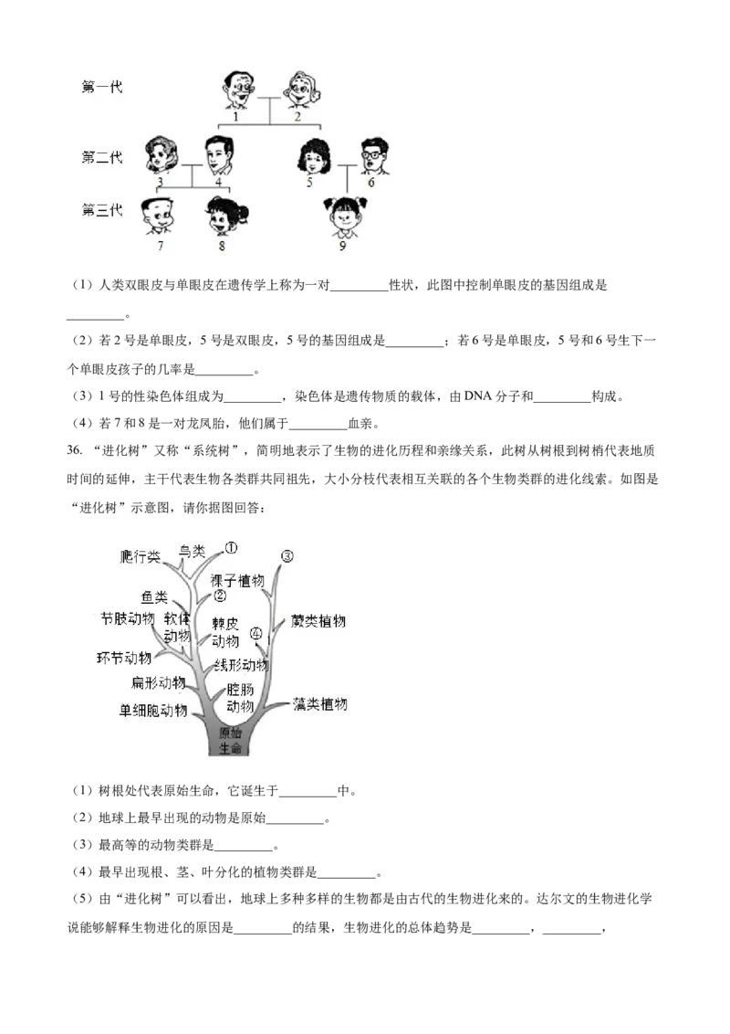 04八年级下学期期末生物试题（原卷版）_初中全科电子版试卷练习试题_生物_生物8下练习_人教生物8年级下期末试卷12份