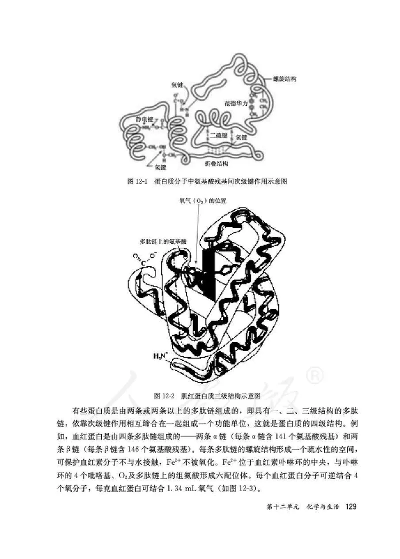 化学九年级下册教师用书_初中电子课本_5.化学_人教版