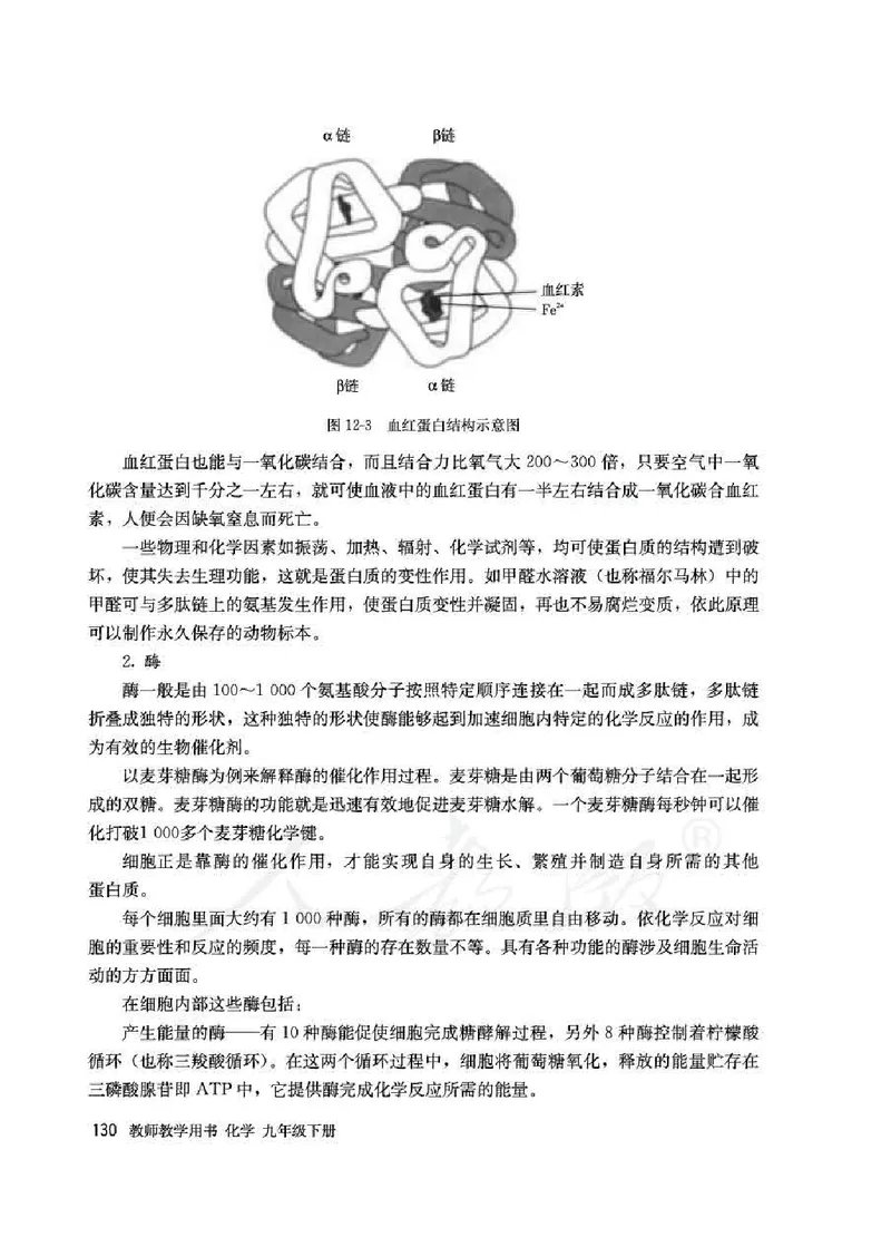 化学九年级下册教师用书_初中电子课本_5.化学_人教版